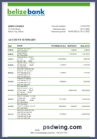 Belize Bank Statement (Excel)